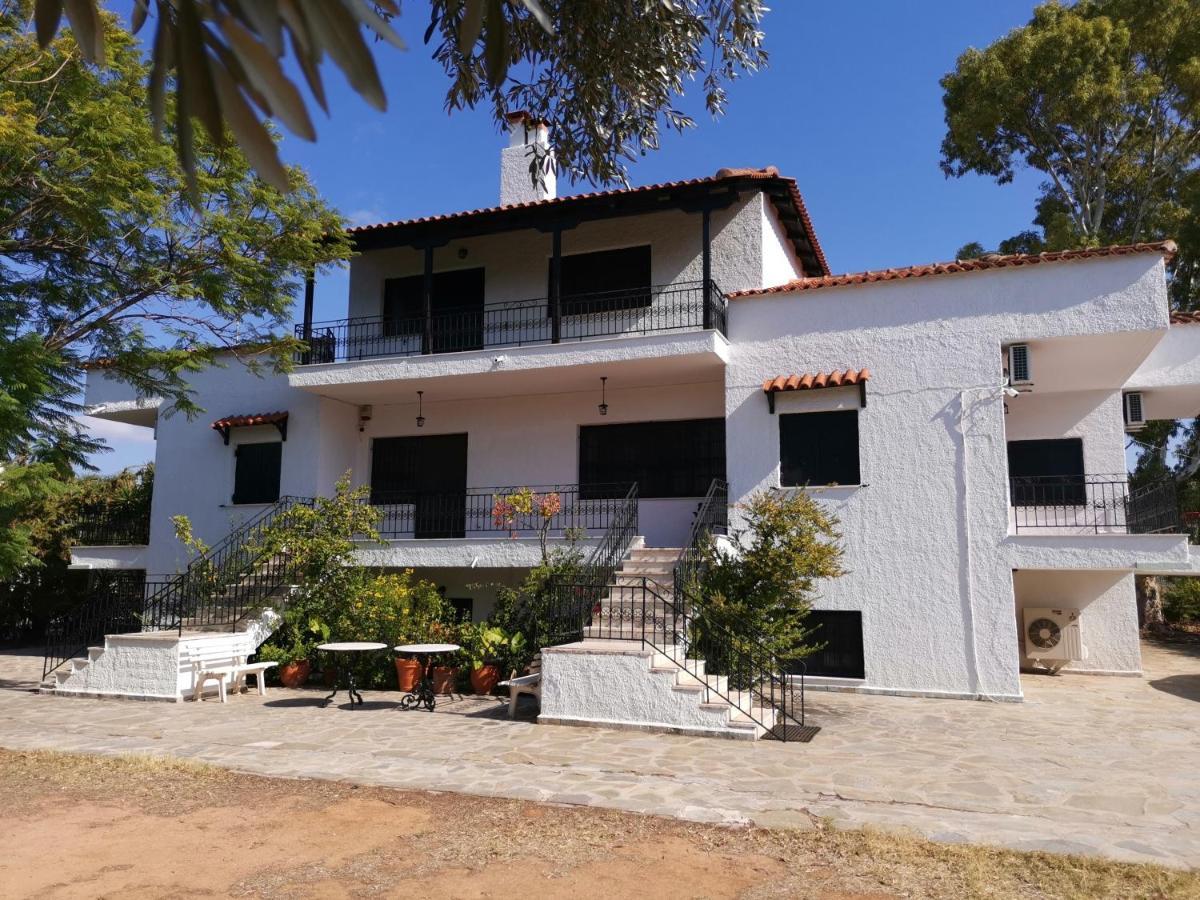 Villa Ioanna Drossia Drosia  Exterior foto